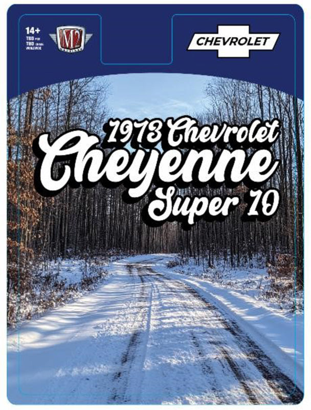 1973 Chevrolet Cheyenne Super 10 Pickup Truck SS454 Holiday Edition